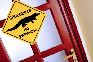 Screen Shot 2023-10-15 at 8.38.44 PM